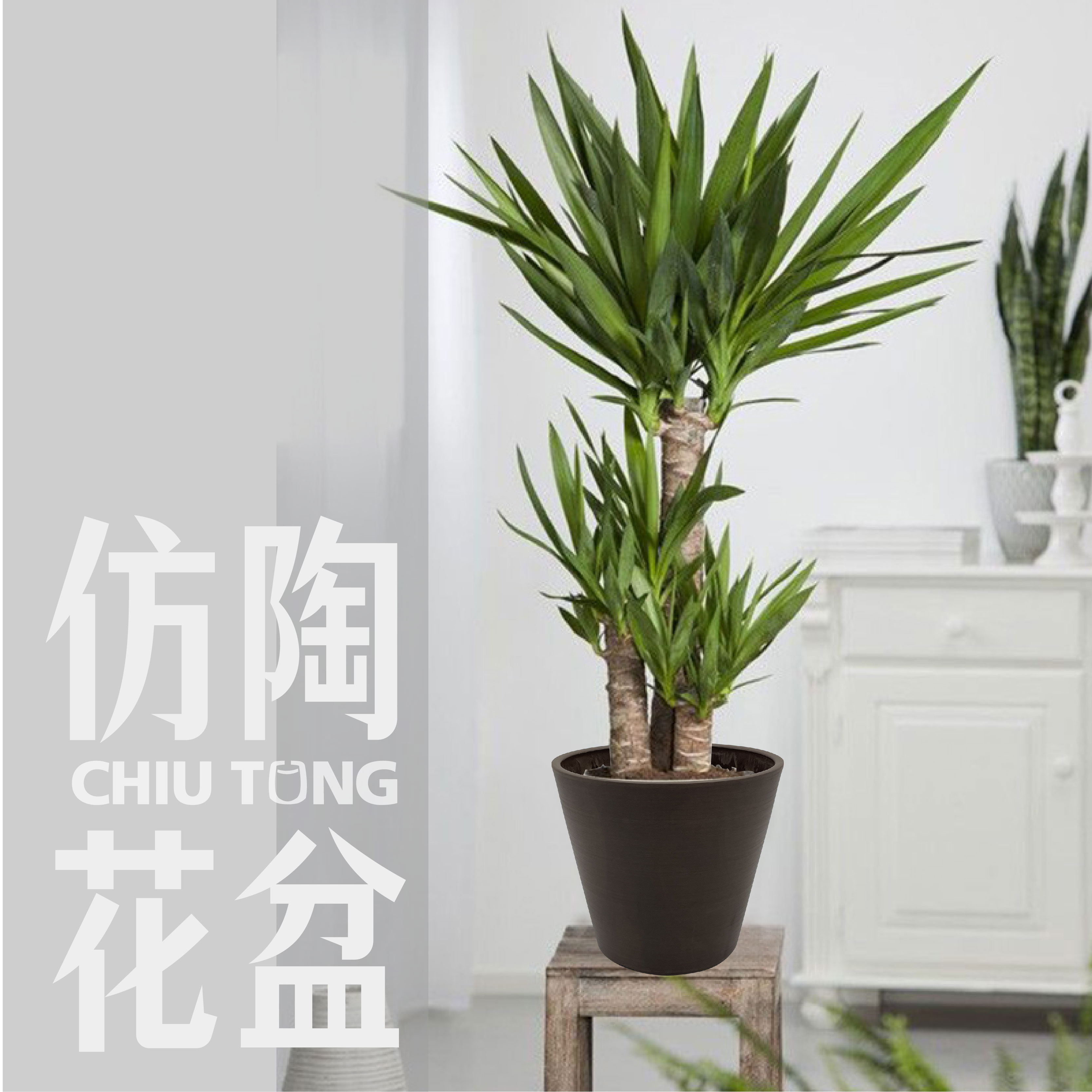 花盆 瓦楞花盆——室内外空间的现代优雅– Green Envy Indoor Plants