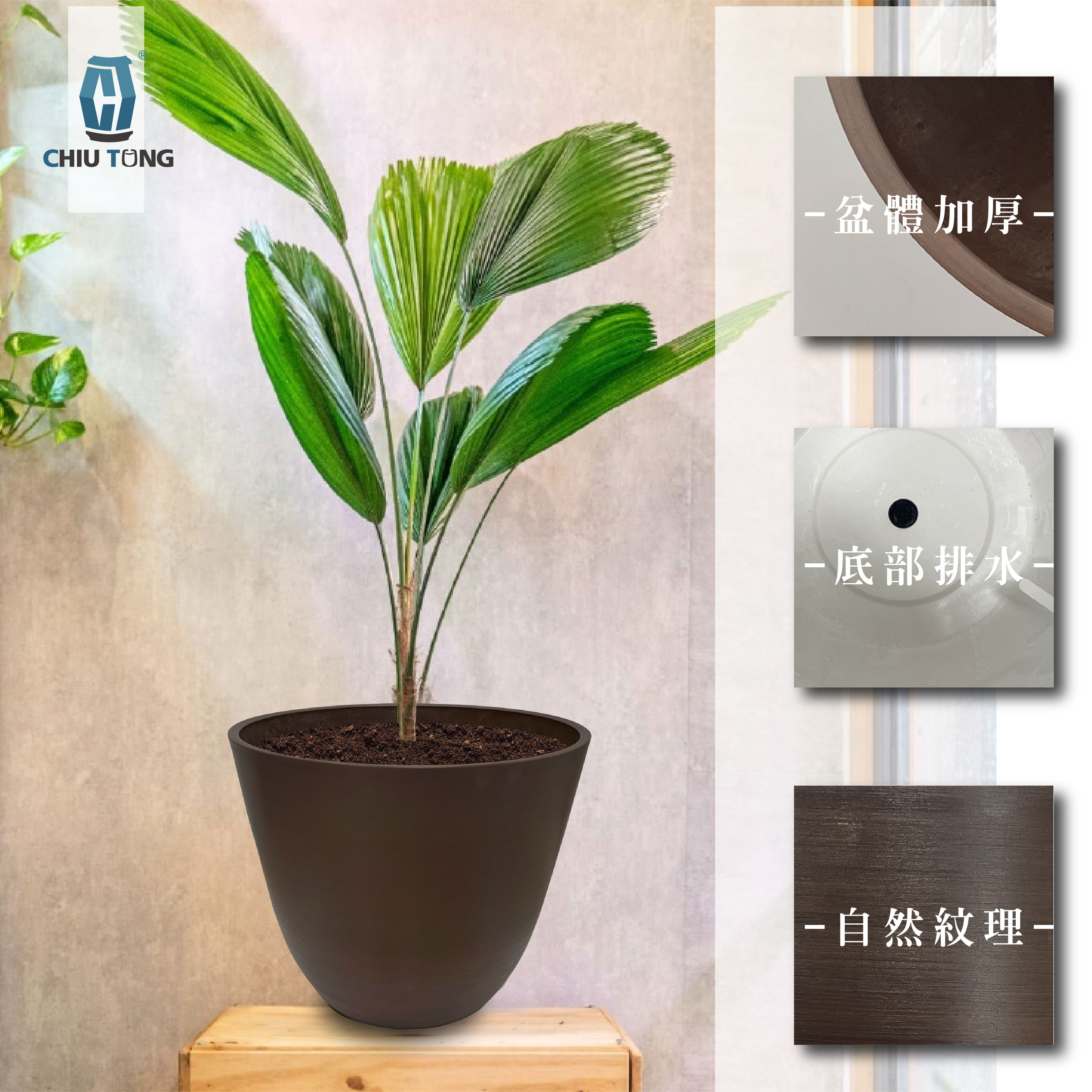 日式塑陶盆-V型,仿陶花盆- 久統生活
